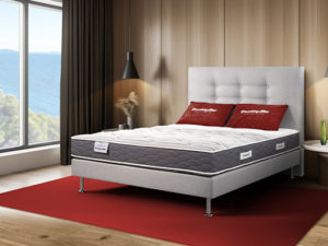 Matelas Dunlopillo Aérial 2.0 Freme