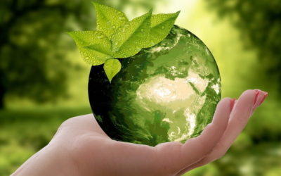 Meublez votre intérieur avec du mobilier écologique
