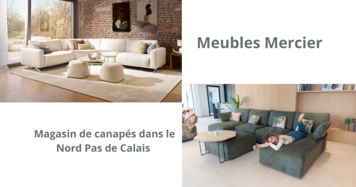 magasin canapés nord