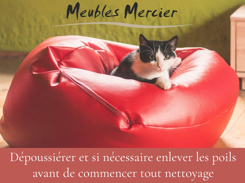 dépoussiérer avant nettoyage pouf