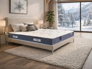 Matelas Dunlopillo Latex Antares 2